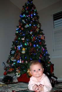 2008-11-28-07 Sydney early Christmas at Grandmas.jpg